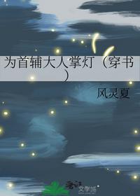 为首辅大人掌灯（穿书）